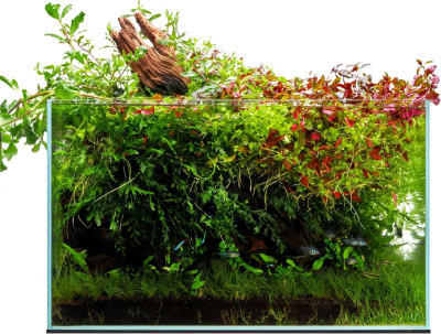 DECONATURE TITAN 60 - Аквариум 60 литров, ультрапрозрачное стекло 6мм (W60×D30×H36)